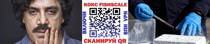 Cocaine FishScale  Купить  Ленск 