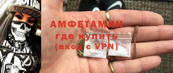 амф Краснослободск