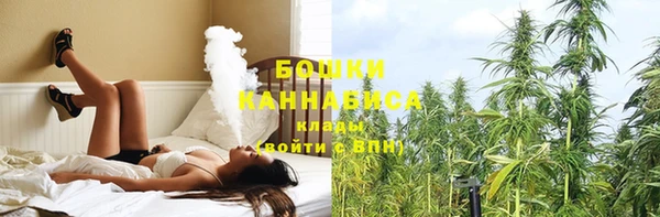 крисы Киренск