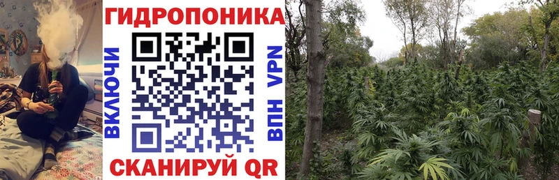 Канабис семена  Купить где  Ленск 